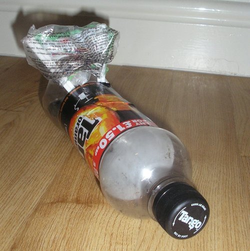 The second-place-winning entry. Yes, I know it's not in the water. I hadn't taken my camera! This wasn't planned!!