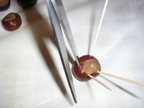 Carefully pierce the conker with your scissors or screwdriver. You might want to swivel your implement around for a nice round hole. Be sure to supervise or help young kids because those conkers are slippy and you don't want any holes in fingers or tables! :-)