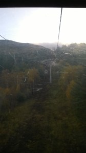 ... would take us all the way up there. And they rocked and swayed in the (very gentle) breeze. LOVELY.